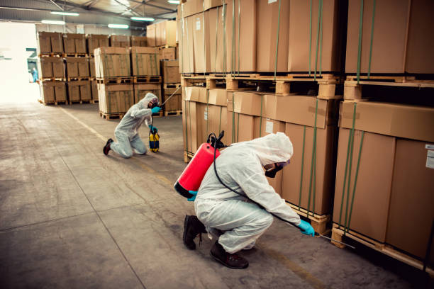 Best Residential Pest Control  in Hoopeston, IL