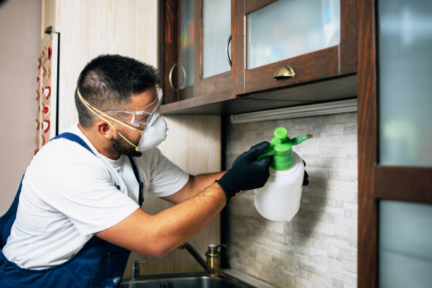 Best Exterminator Services  in Hoopeston, IL
