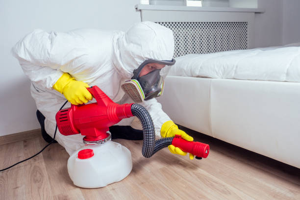 Wasp Removal Services in Hoopeston, IL