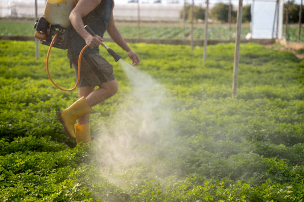Best Pest Removal Services  in Hoopeston, IL