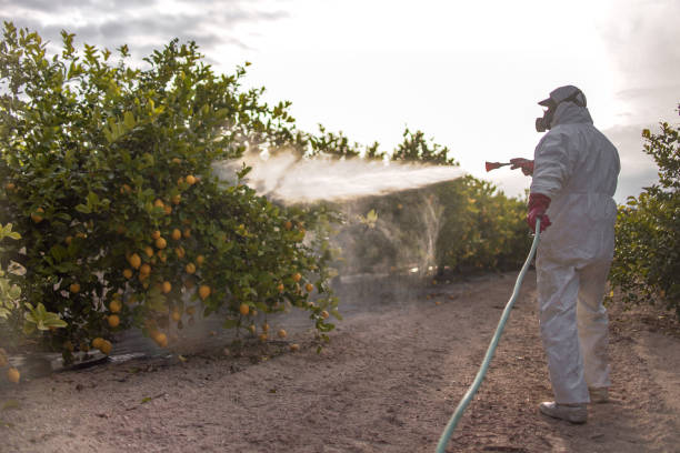 Best Affordable Pest Control Services  in Hoopeston, IL