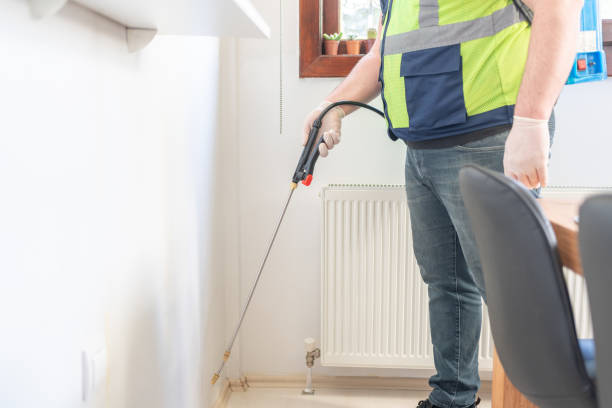 Best Rat Extermination Near Me  in Hoopeston, IL