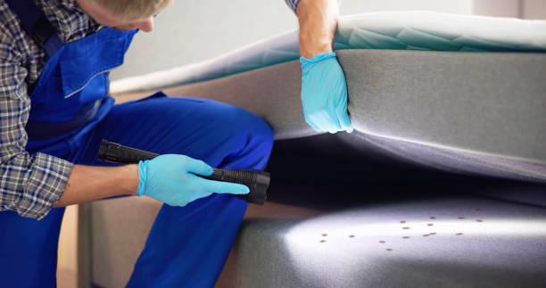 Best Termite Control Services  in Hoopeston, IL