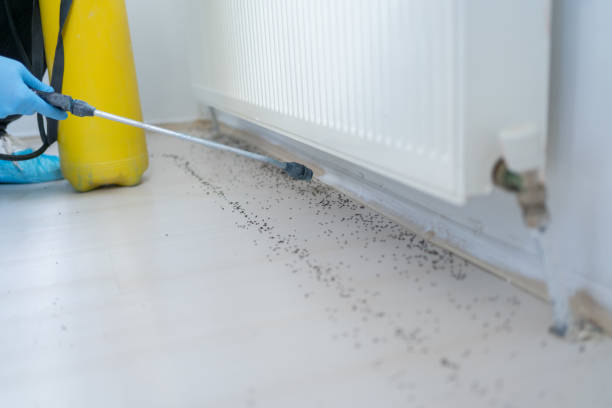 Best Best Pest Control Companies  in Hoopeston, IL