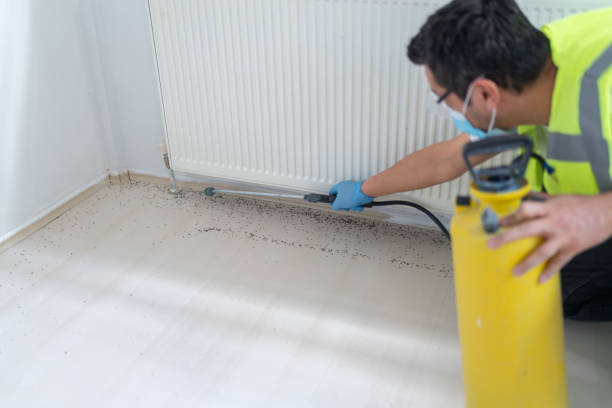 Professional Pest Control in Hoopeston, IL