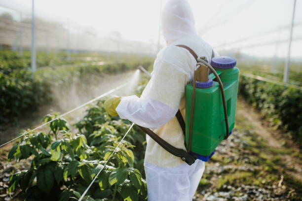 Best Emergency Pest Control  in Hoopeston, IL
